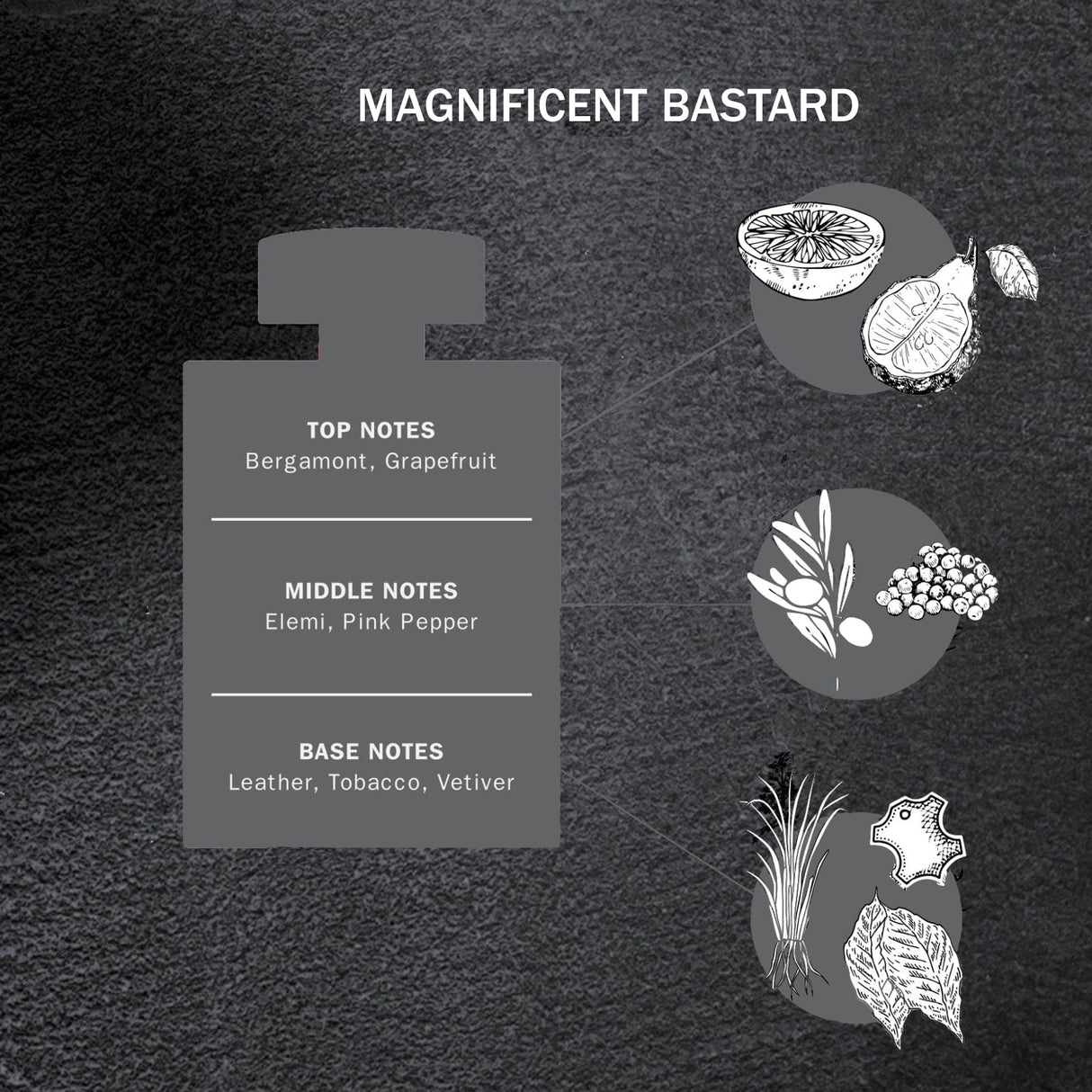 Grooming Lounge Magnificent Bastard EDT from Grooming Lounge