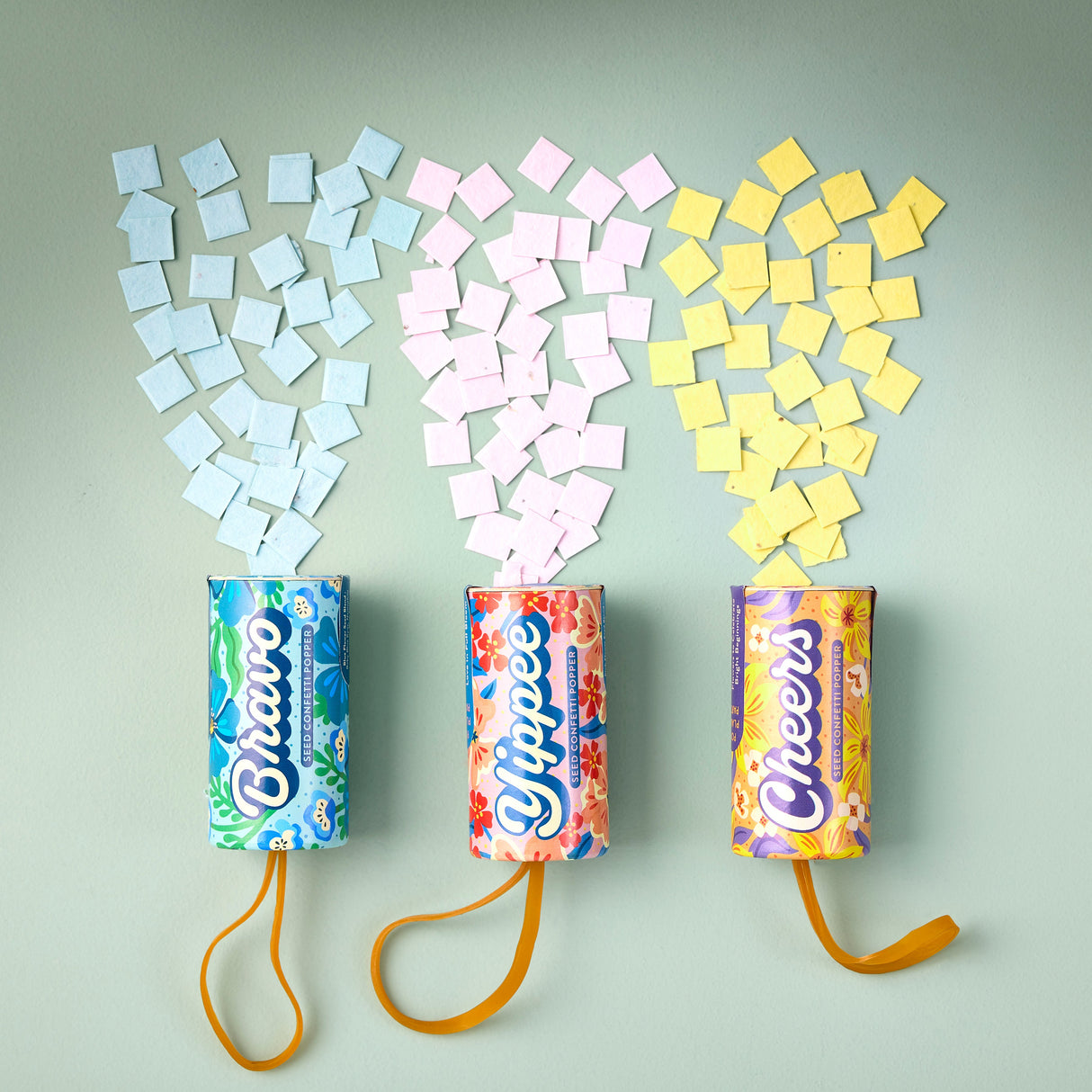 Seed Confetti Popper from Modern Sprout