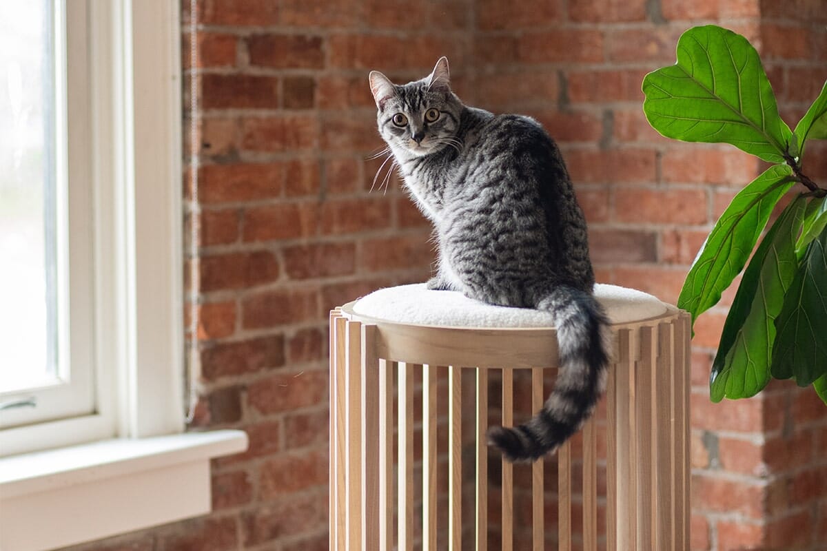 Grove Cat Tower From tuft + paw