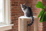 Grove Cat Tower From tuft + paw