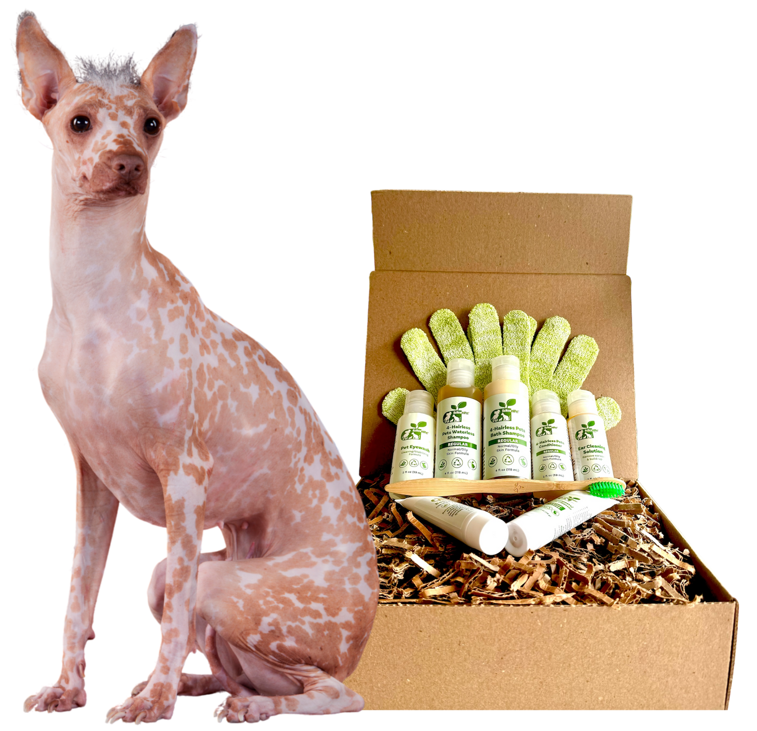 4-HAIRLESS PETS *DOG REGULAR KIT from ReNewedPet