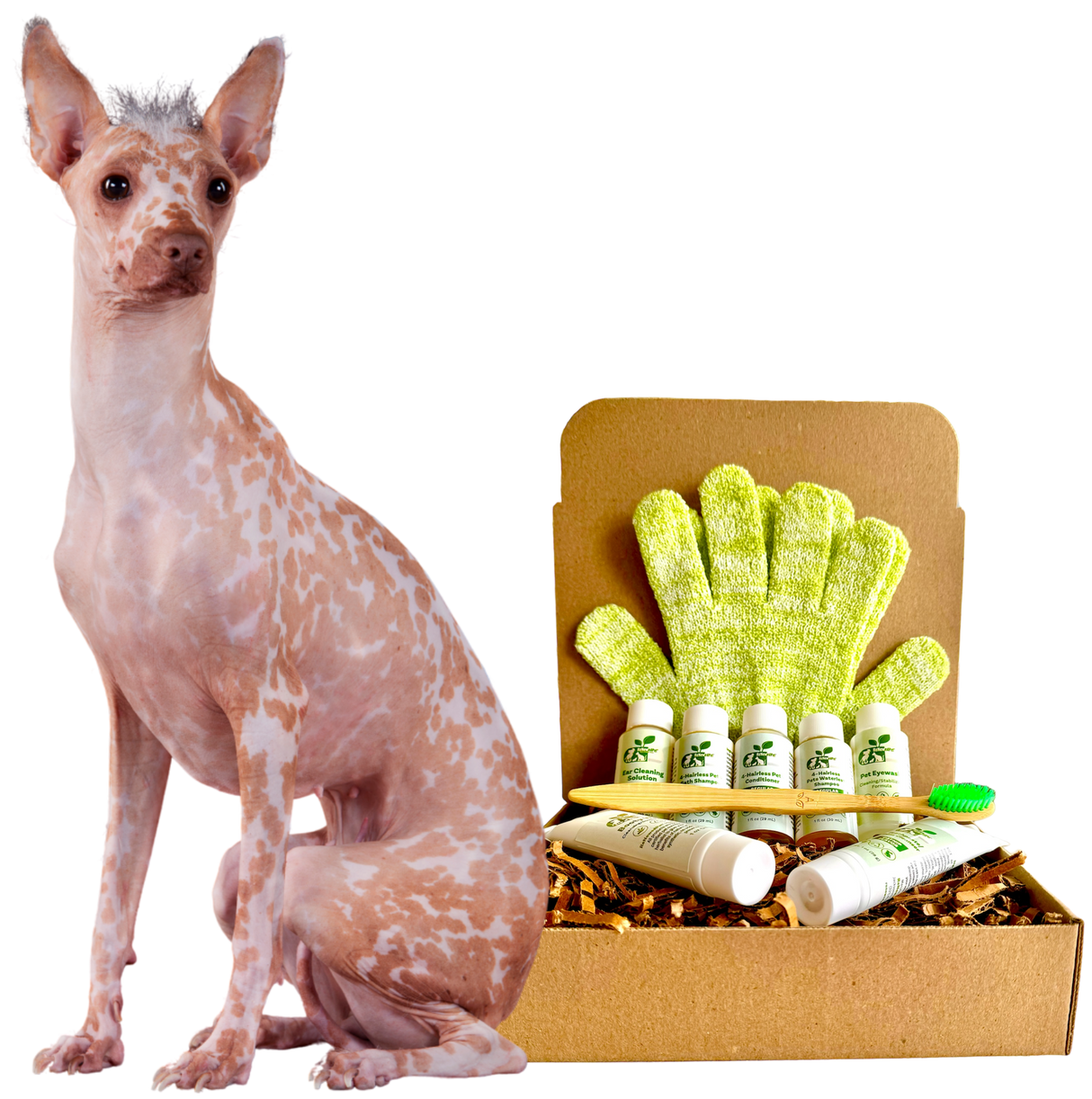 4-HAIRLESS PETS *DOG REGULAR KIT from ReNewedPet
