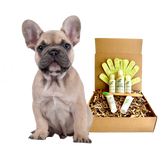 4-FURRY DOGS *REGULAR GROOMING KIT from ReNewedPet
