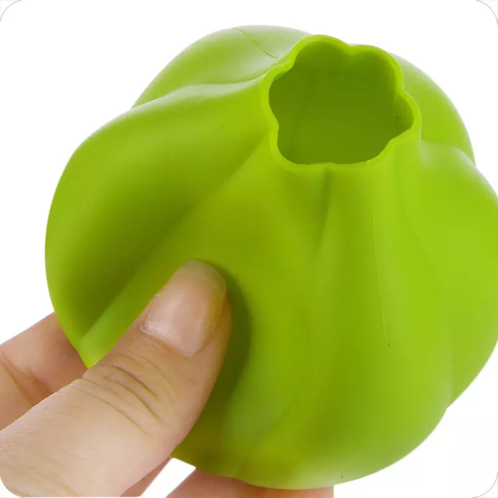 Garlic Peeler from Choixe