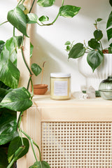 Healing Body Cream / organic body lotion / winter skin / dry skin / deep moisturizer From Butter Me Up Organics