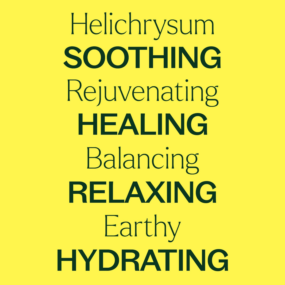 Helichrysum Hydrosol from Plant Therapy