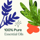 Heroes Essential Oil Blend from Plant Therapy