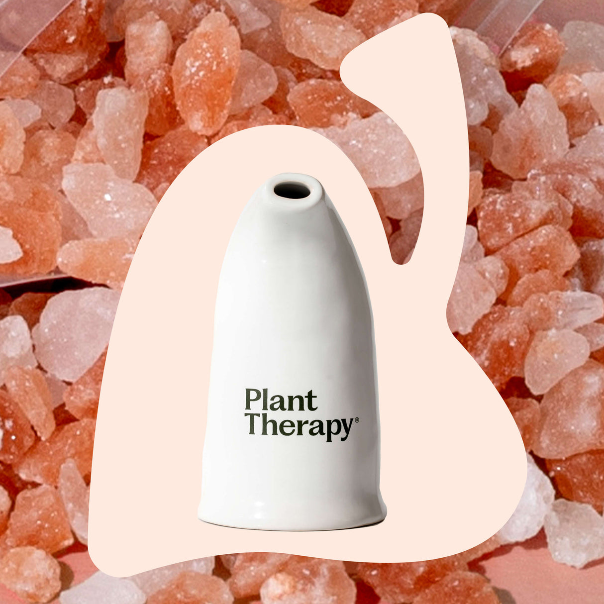 Himalayan Salt Inhaler from Plant Therapy