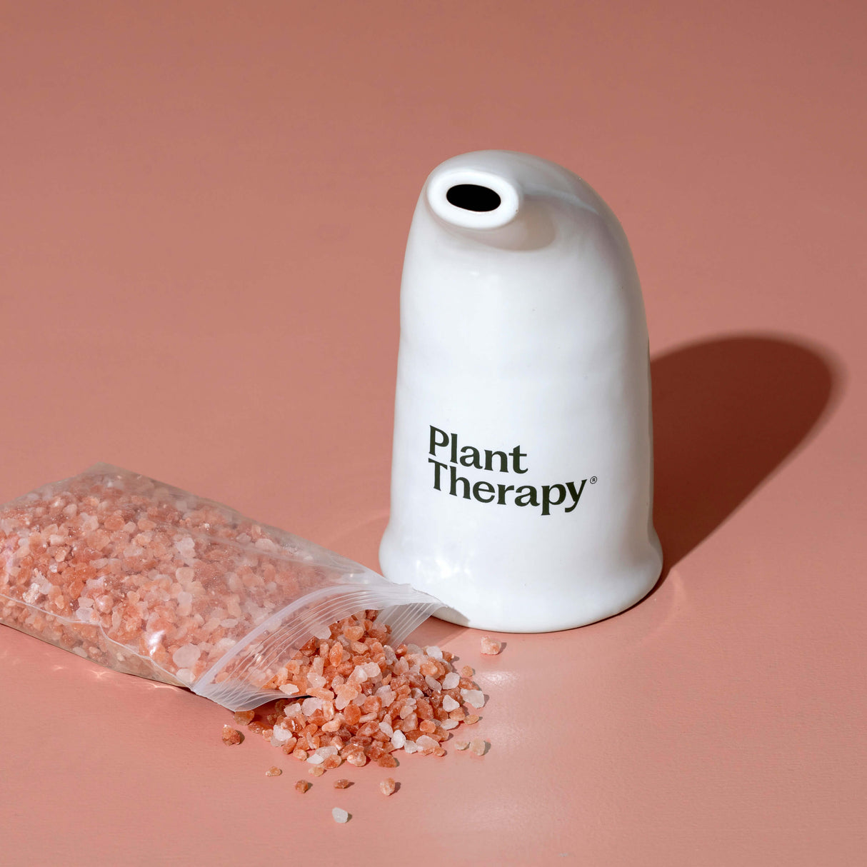 Himalayan Salt Inhaler from Plant Therapy