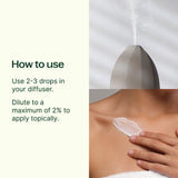 Holiday Season Essential Oil Blend from Plant Therapy