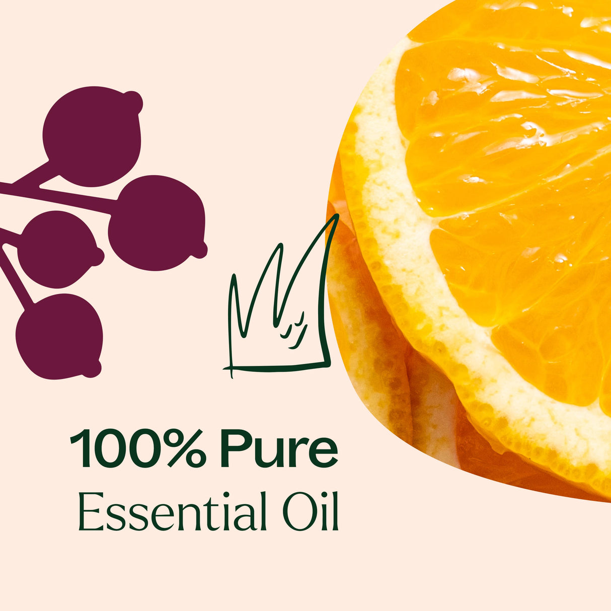 Holiday Season Essential Oil Blend from Plant Therapy