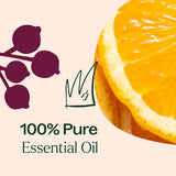 Holiday Season Essential Oil Blend from Plant Therapy