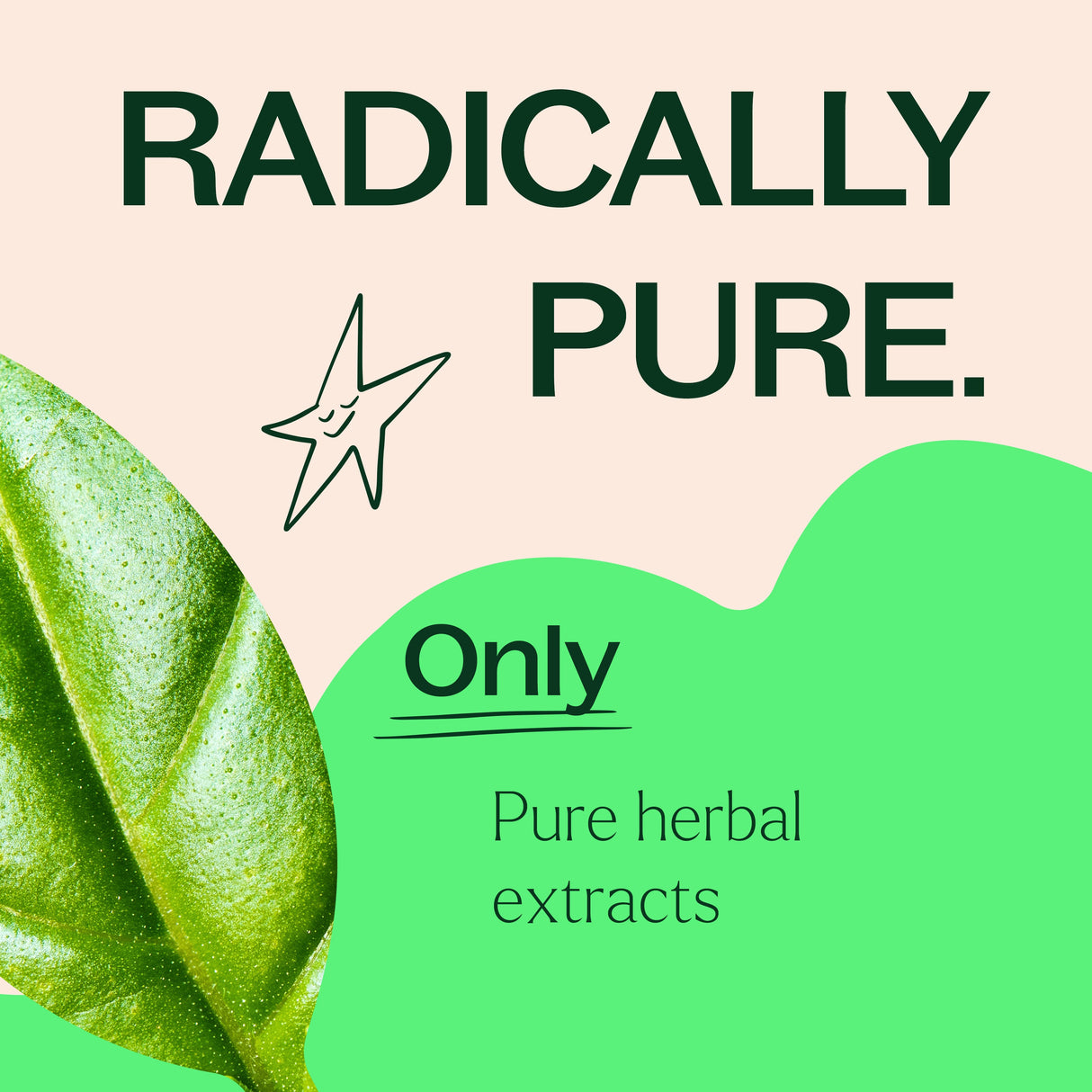 Holy Basil Herbal Supplement - 120 Capsules from Plant Therapy