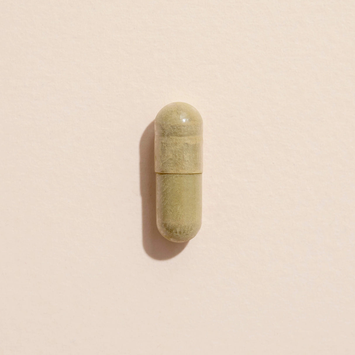 Holy Basil Herbal Supplement - 120 Capsules from Plant Therapy
