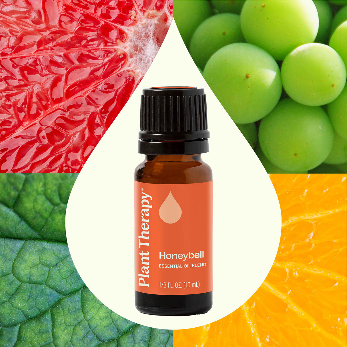 Honeybell Essential Oil Blend from Plant Therapy