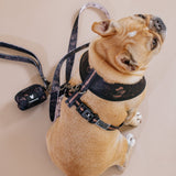 Frenchie Duo Reversible Harness - Horoscope from Frenchie Bulldog