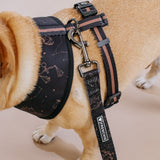 Frenchie Duo Reversible Harness - Horoscope from Frenchie Bulldog