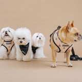 Frenchie Duo Reversible Harness - Horoscope from Frenchie Bulldog