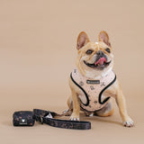 Frenchie Duo Reversible Harness - Horoscope from Frenchie Bulldog