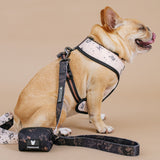 Frenchie Duo Reversible Harness - Horoscope from Frenchie Bulldog
