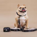 Frenchie Comfort Collar - Horoscope from Frenchie Bulldog