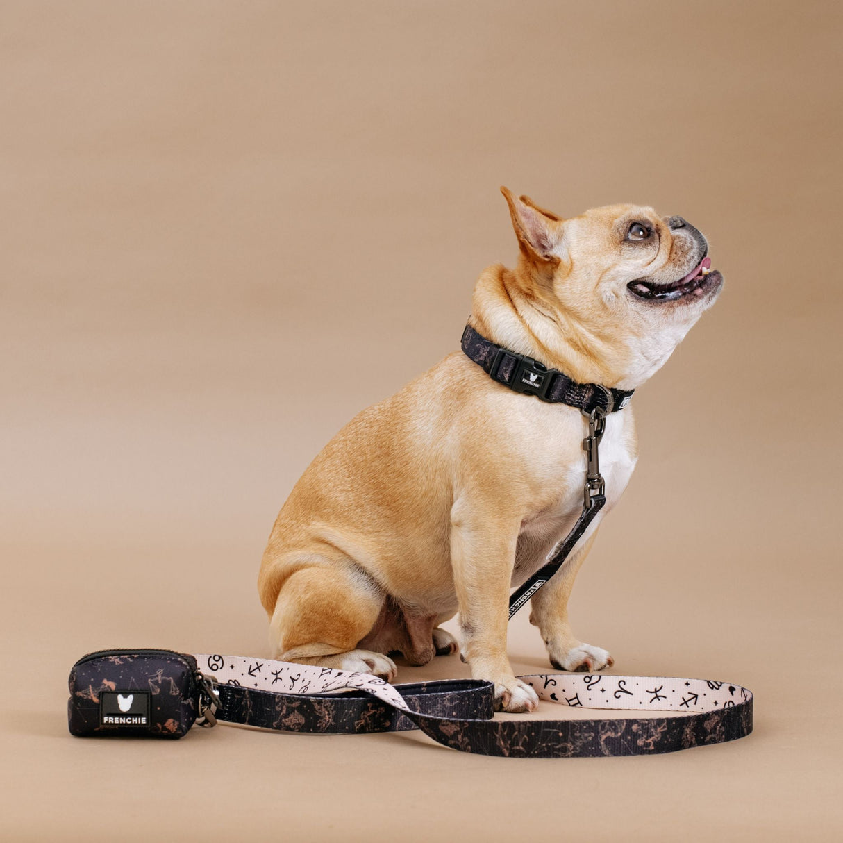 Frenchie Comfort Collar - Horoscope from Frenchie Bulldog