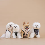 Frenchie Duo Reversible Harness - Horoscope from Frenchie Bulldog