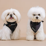 Frenchie Duo Reversible Harness - Horoscope from Frenchie Bulldog