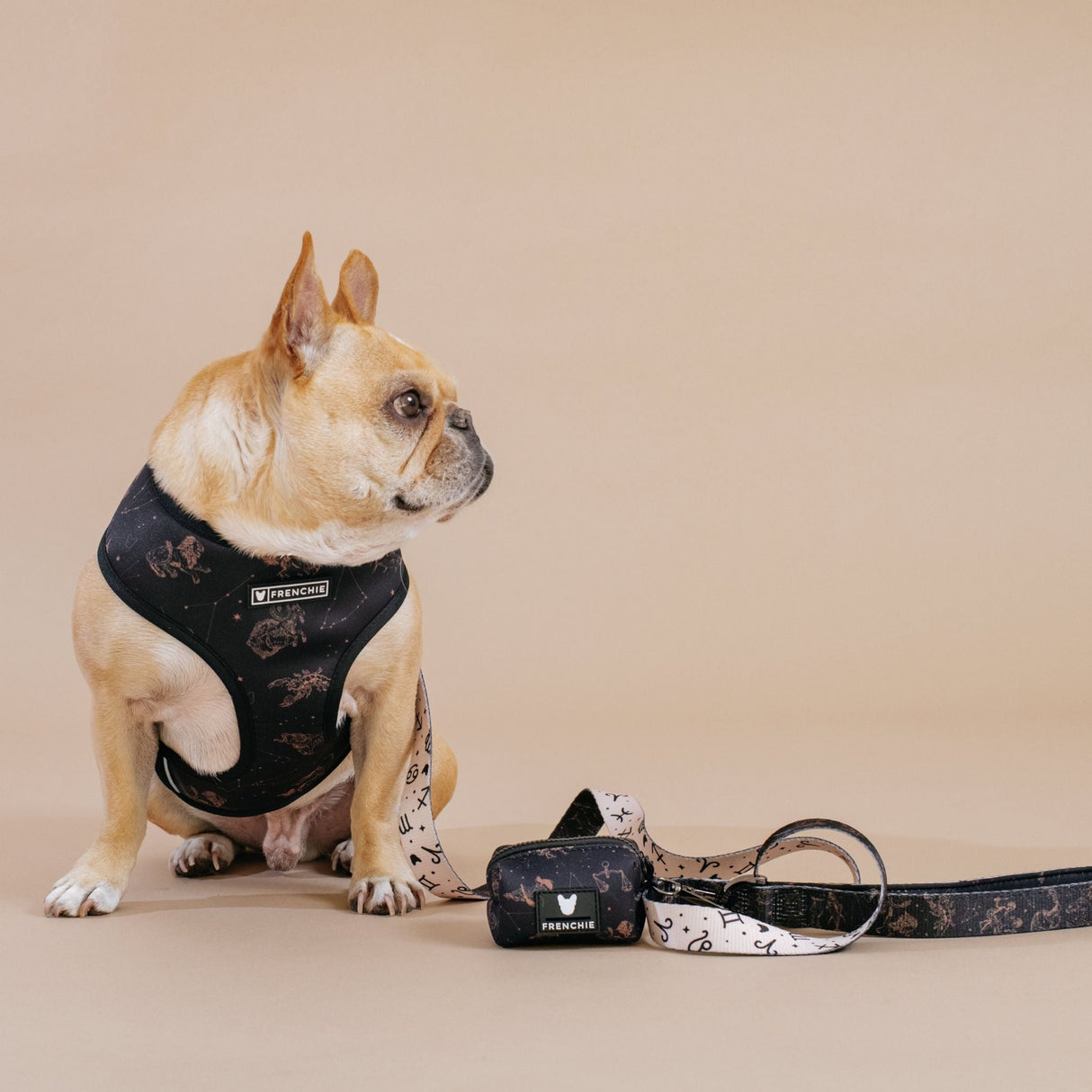 Frenchie Duo Reversible Harness - Horoscope from Frenchie Bulldog