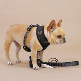 Frenchie Duo Reversible Harness - Horoscope from Frenchie Bulldog