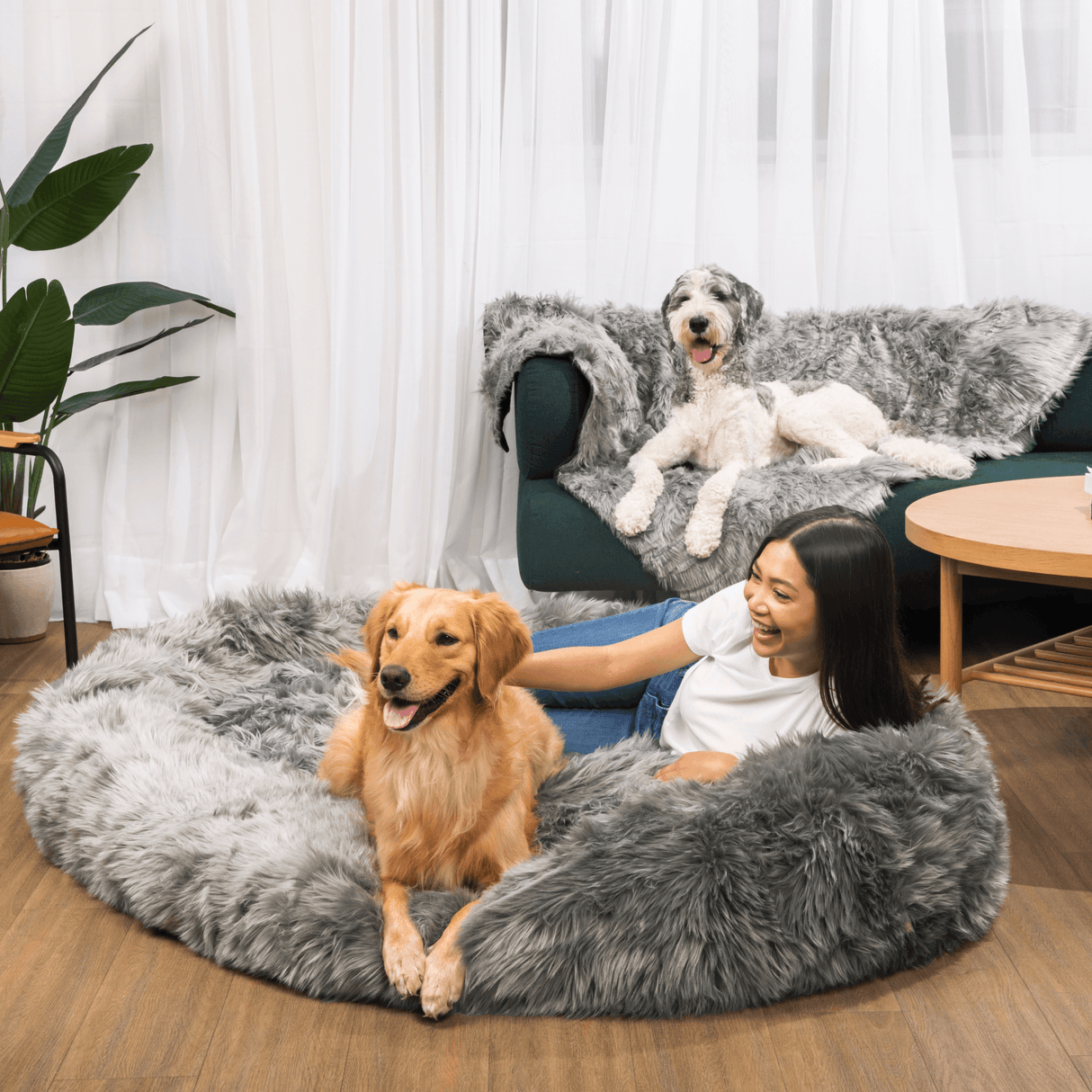 PupCloud™ Human-Size Dog Bed + Matching Waterproof Blanket Bundle - Charcoal Grey from Paw.com