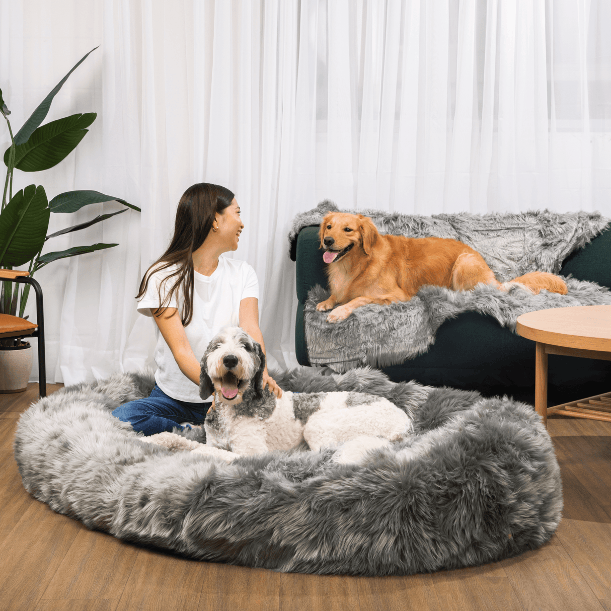PupCloud™ Human-Size Dog Bed + Matching Waterproof Blanket Bundle - Charcoal Grey from Paw.com