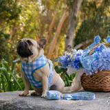 Frenchie Duo Reversible Harness - Hydrangea from Frenchie Bulldog