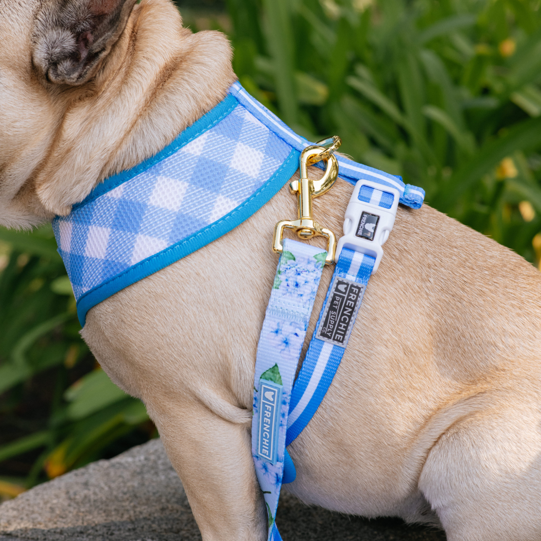 Frenchie Duo Reversible Harness - Hydrangea from Frenchie Bulldog
