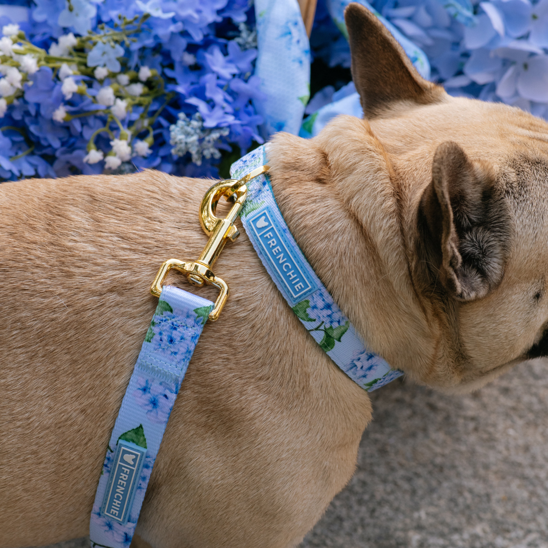 Frenchie Comfort Collar - Hydrangea from Frenchie Bulldog