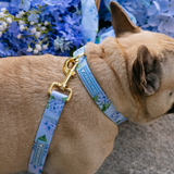 Frenchie Comfort Collar - Hydrangea from Frenchie Bulldog