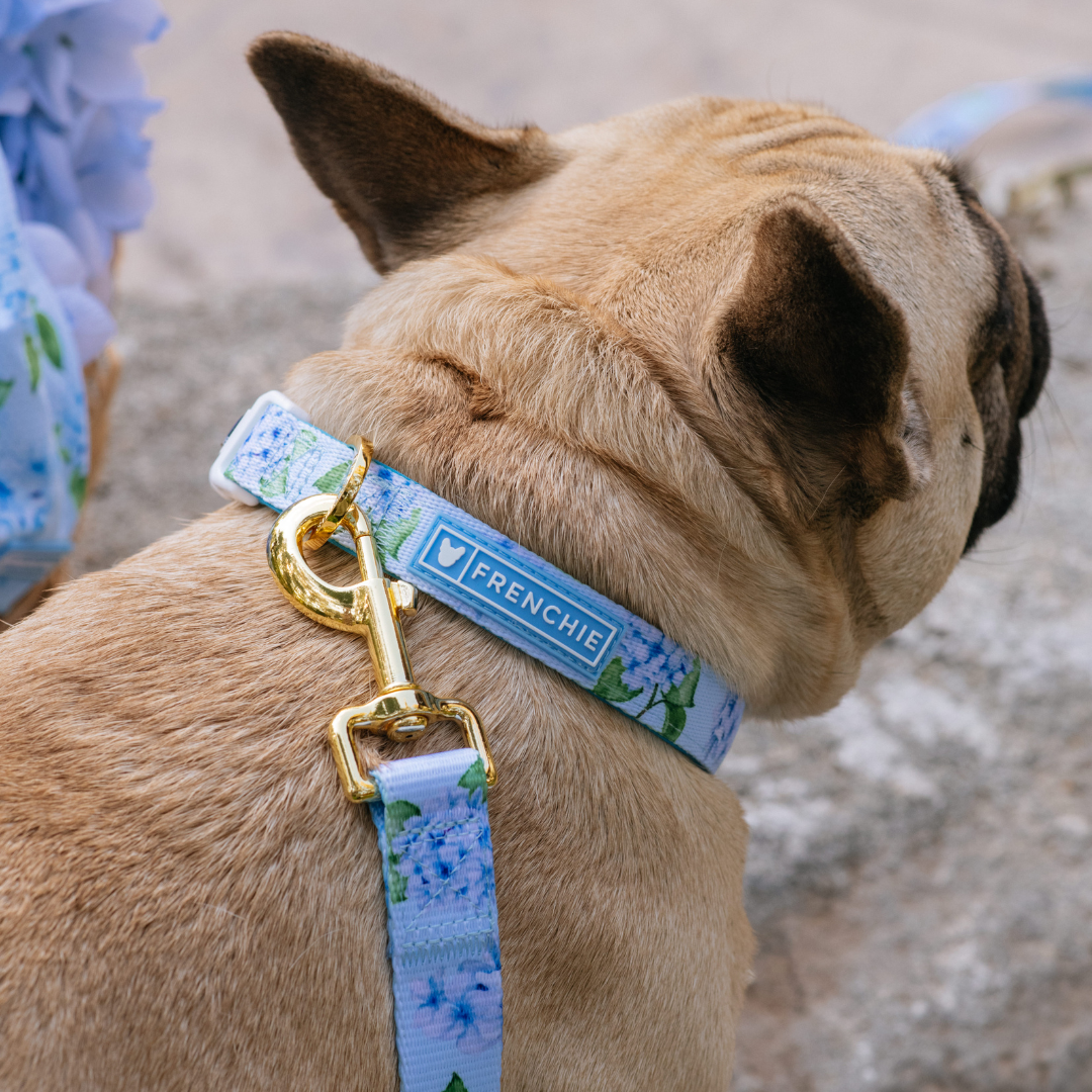Frenchie Comfort Collar - Hydrangea from Frenchie Bulldog