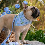 Frenchie Cooling Bandana - Hydrangea from Frenchie Bulldog