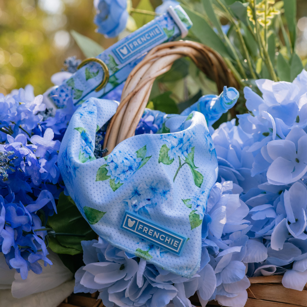 Frenchie Cooling Bandana - Hydrangea from Frenchie Bulldog
