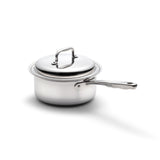 Three Quart Saucepan with Cover From 360 Cookware