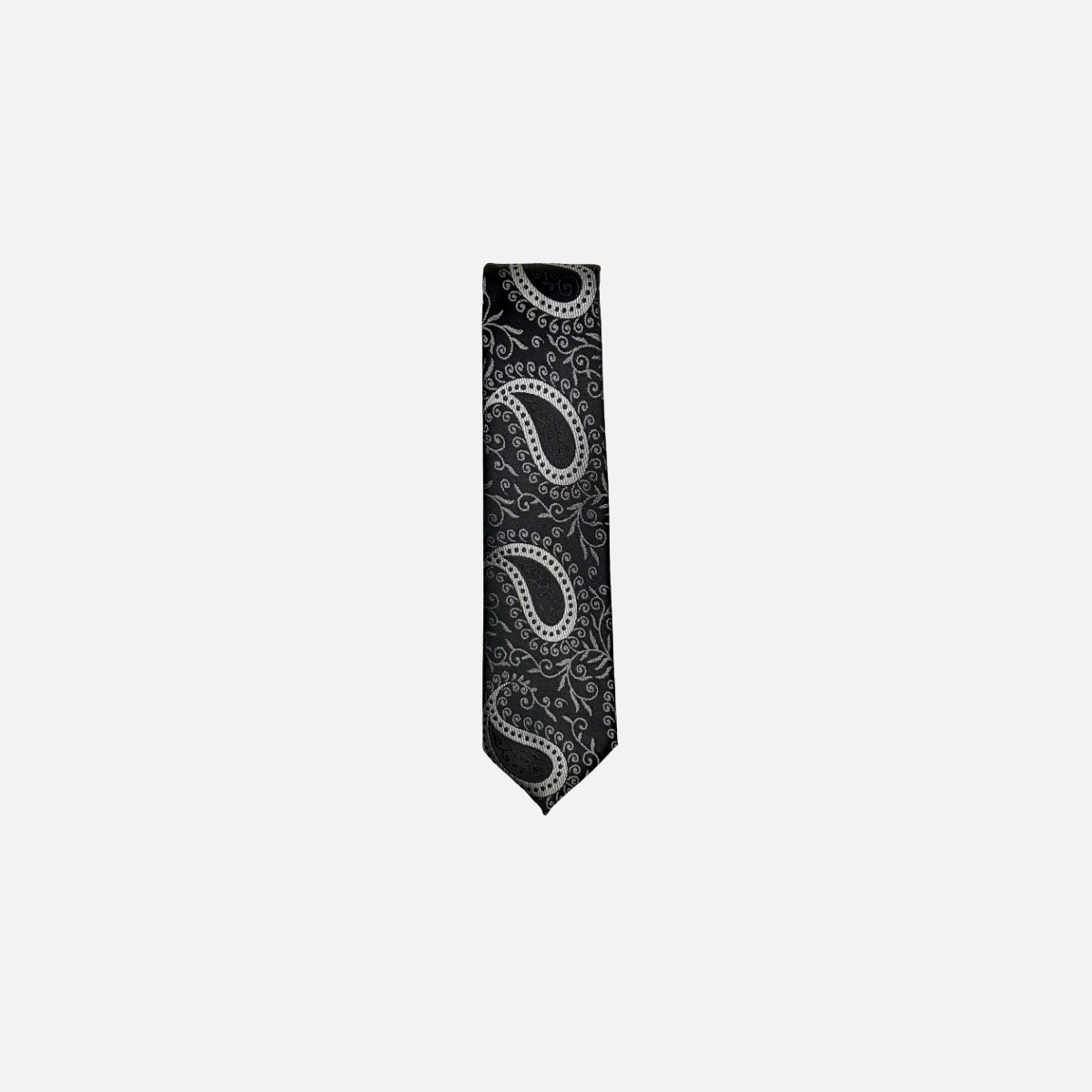 Darnell Classic Paisley Tie from New Edition Fashion
