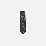 Darnell Classic Paisley Tie from New Edition Fashion