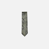 Darnell Classic Paisley Tie from New Edition Fashion