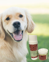 Pet Pampering Gift Box -All-Natural Pet Wellness Kit – Soothing Balms & Herbal Coat Powder from Lizush