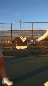 Draft from LUXE Pickleball