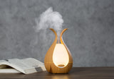 Timeless Diffuser from Timeless Organics Skin Care