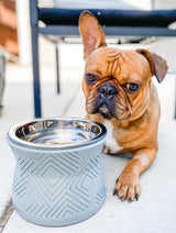Santa Fe Modern Elevated Dog Bowl from Pet Junkie