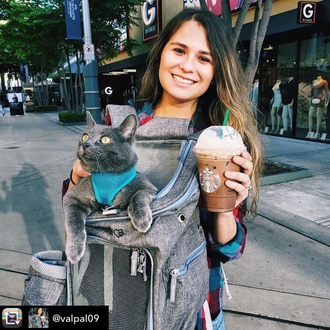 Mr. Peanut's Vancouver Series Backpack Pet Carrier for Smaller Cats and Dogs from Mr. Peanut's Pet Carriers