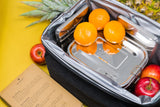 Stainless Steel Freezer PACKS FOR LUNCH Boxes and Lunch Bags, 2 Pack from ecozoi