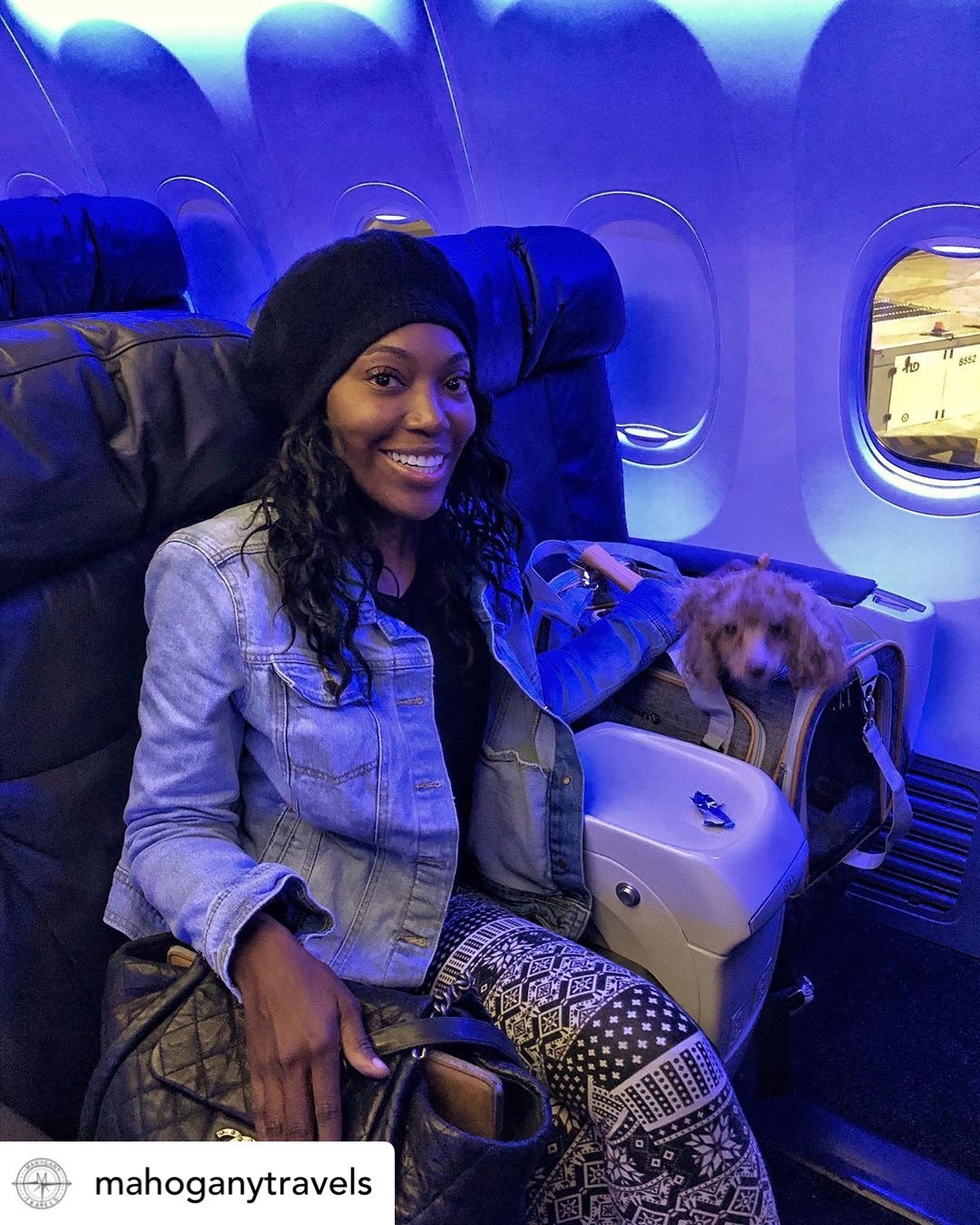 Mr. Peanut's Platinum Series Expandable Pet Carrier from Mr. Peanut's Pet Carriers